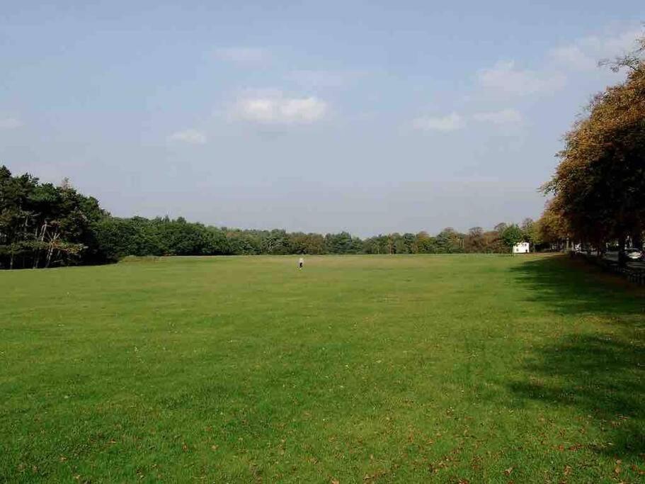 Spacious 4 Bed Rooms, Parking, Garden And Near Parks, Beaches And University Bournemouth Exteriör bild